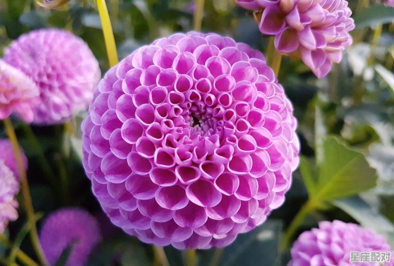 每年立春都需要躲春吗_每年的立春都要躲春吗 - 星座运势