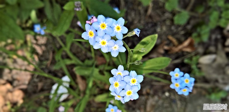 广东春天是几月到几月_广东二十四节对应农作物 - 星座运势