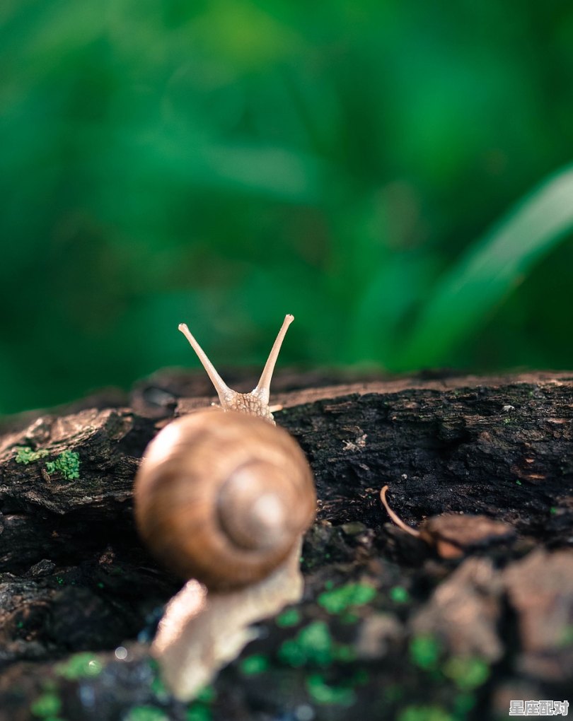 2023立春躲春的正确方式,立春的习俗有哪些如何躲春 - 星座运势