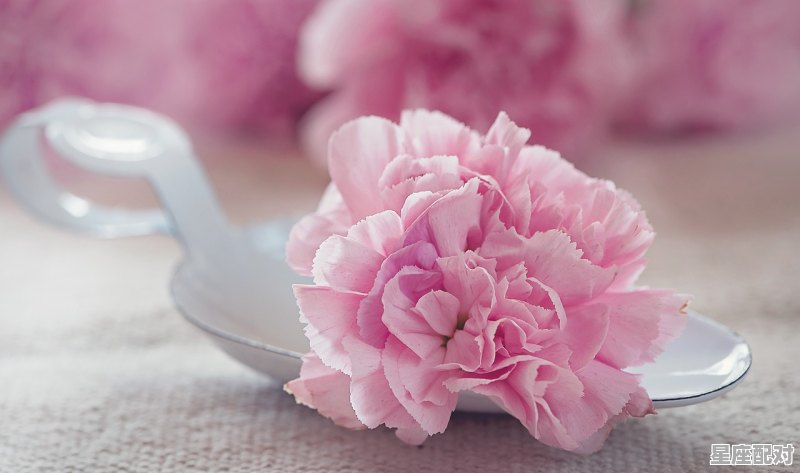 最适合结婚的5对星座注定天生一对_为什么会有两个星座特点 - 星座运势