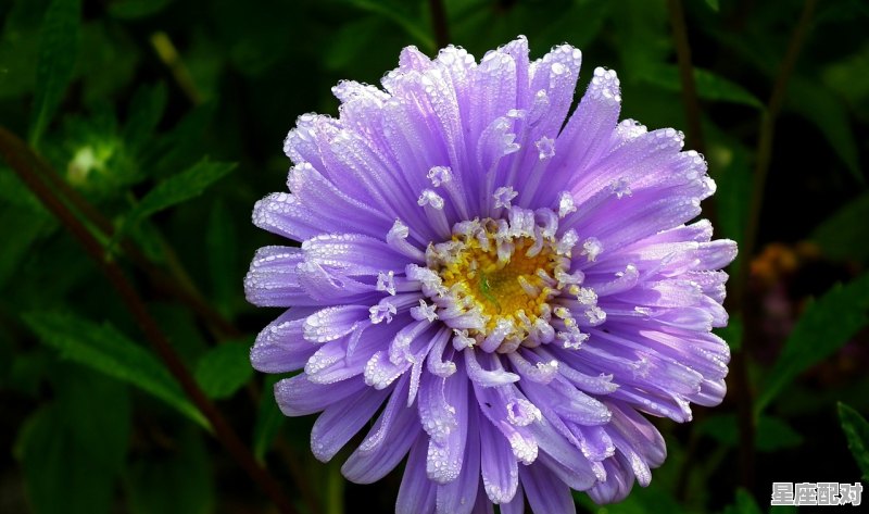 巨蟹座的男孩什么性格_巨蟹女性格超准分析 - 星座运势