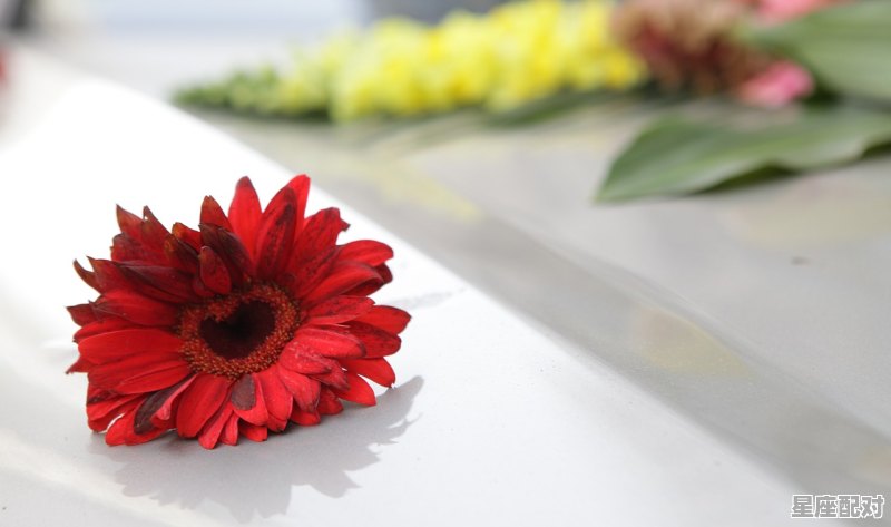 过年需要做什么手工，过年习俗特色类手工 - 星座运势