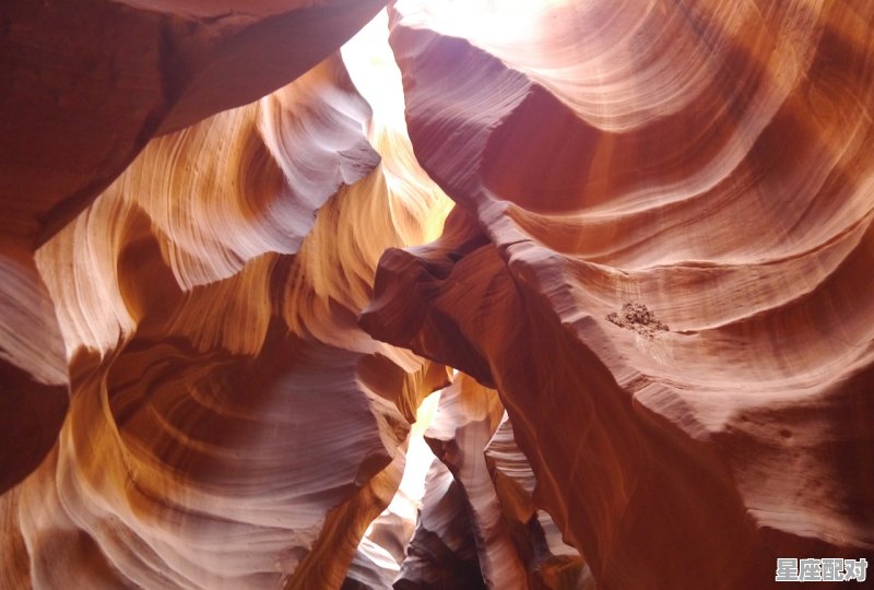 射手座适合和什么星座谈恋爱，射手座跟哪个星座配对最佳呢女生 - 星座运势
