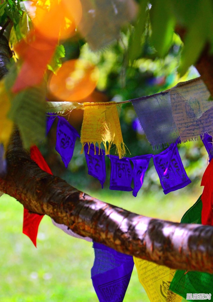 有哪些寓意吉祥的习俗_中国的传统节日有哪些有什么习俗 - 星座运势