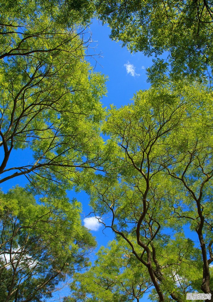 梦到生女孩,梦到生女孩 - 星座运势