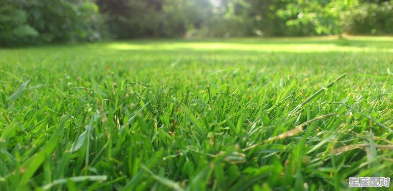 梦到老妈,梦到老妈 梦到老妈,梦到老妈 - 星座运势