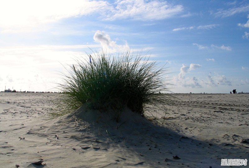 请问在山上捡鸡蛋好不好,梦到在山上 - 星座运势