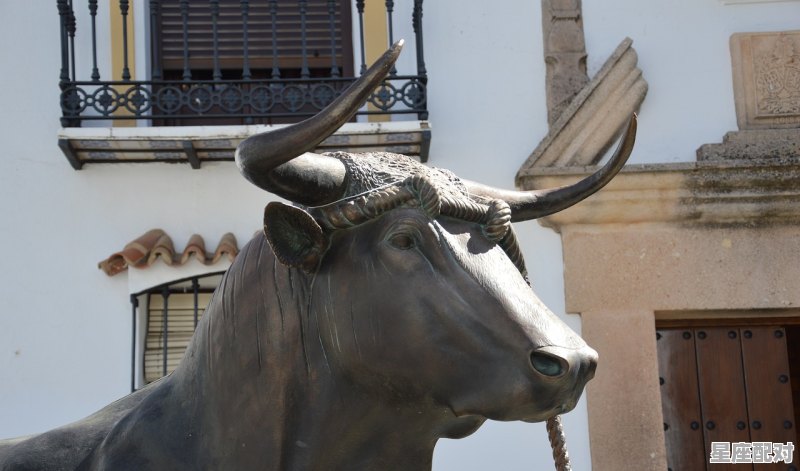 斗牛为什么有的人运气那么好，金牛牛今日运势 - 星座运势