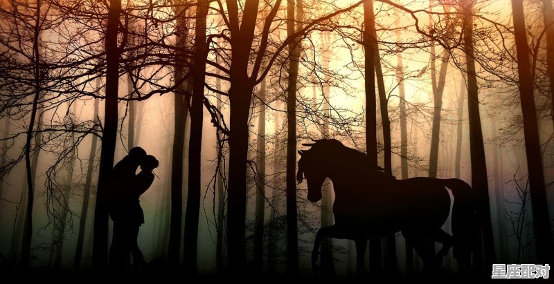 不喜欢主动联系恋人的星座_射手座会主动求复合吗 不喜欢主动联系恋人的星座_射手座会主动求复合吗 - 星座运势