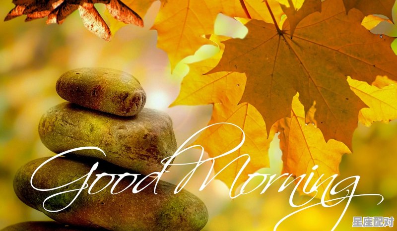 2021年早上好问候语,早安回复今日运势 2021年早上好问候语,早安回复今日运势 - 星座运势