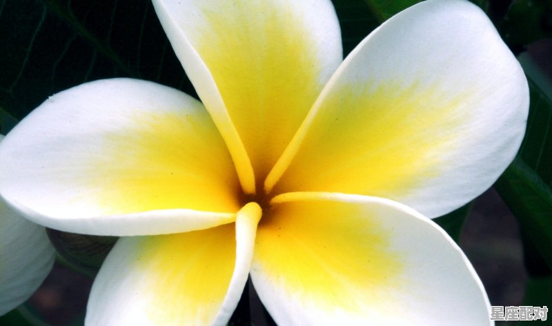 1966年10月16日早上十点出生月亮星座是什么_2014农历9月16是什么星座 1966年10月16日早上十点出生月亮星座是什么_2014农历9月16是什么星座 - 星座运势