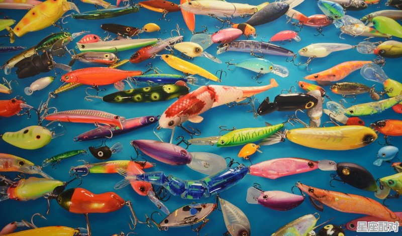 三月的虎是什么星座,属虎的双鱼座男人性格 - 星座运势