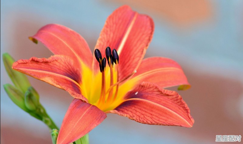 下周金牛座横财运如何,金牛女生今日运势 下周金牛座横财运如何,金牛女生今日运势 - 星座运势