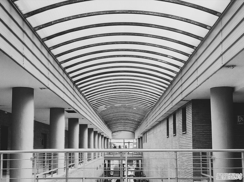 深圳大学附近有什么企业、公司 - 星座运势