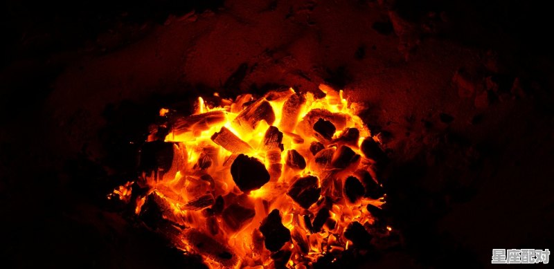 红肖是什么_兔年是火年吗 红肖是什么_兔年是火年吗 - 星座运势