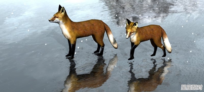 冰瓯雪碗打一动物_冰冻三尺是指什么动物 冰瓯雪碗打一动物_冰冻三尺是指什么动物 - 星座运势