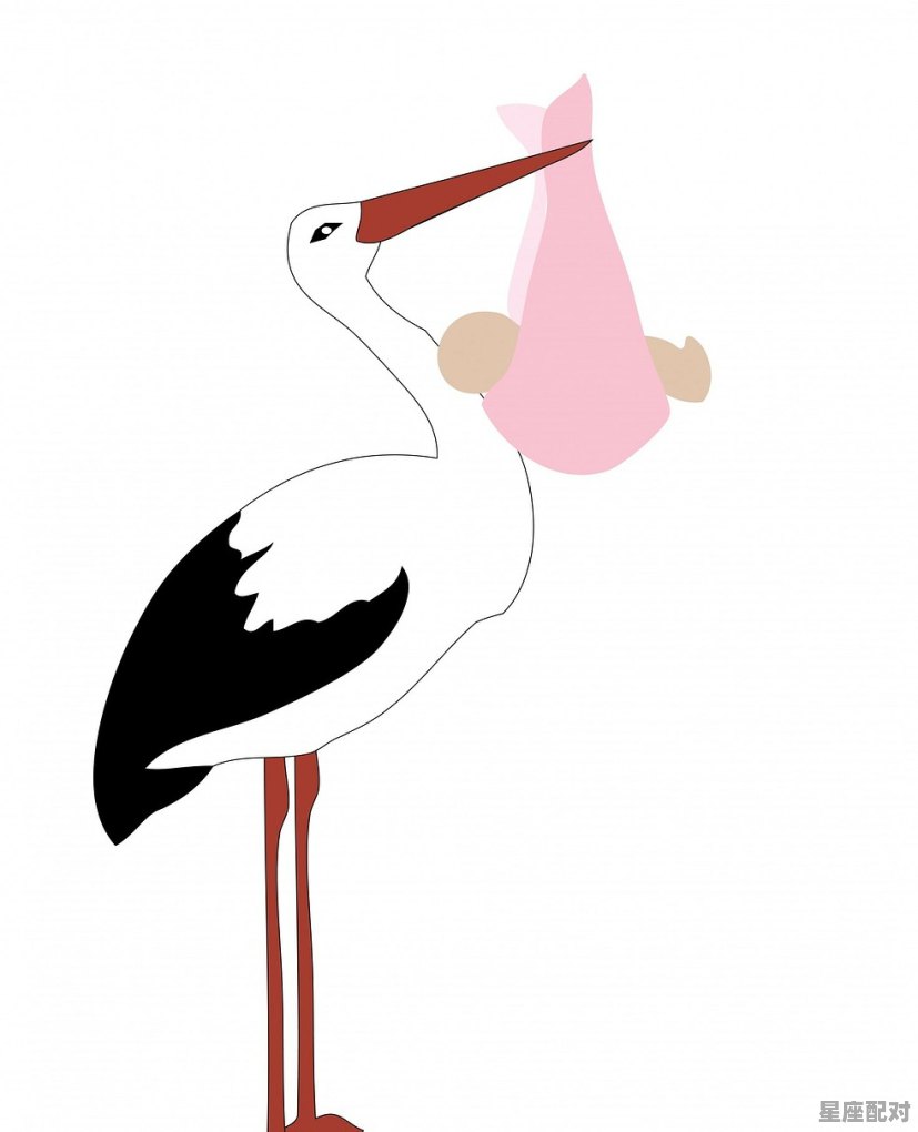 出生2月到3月是什么星座,2月18什么星座 出生2月到3月是什么星座,2月18什么星座 - 星座运势