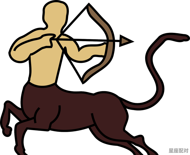 射手座属猪长相如何，属猪的是什么星座 - 星座运势