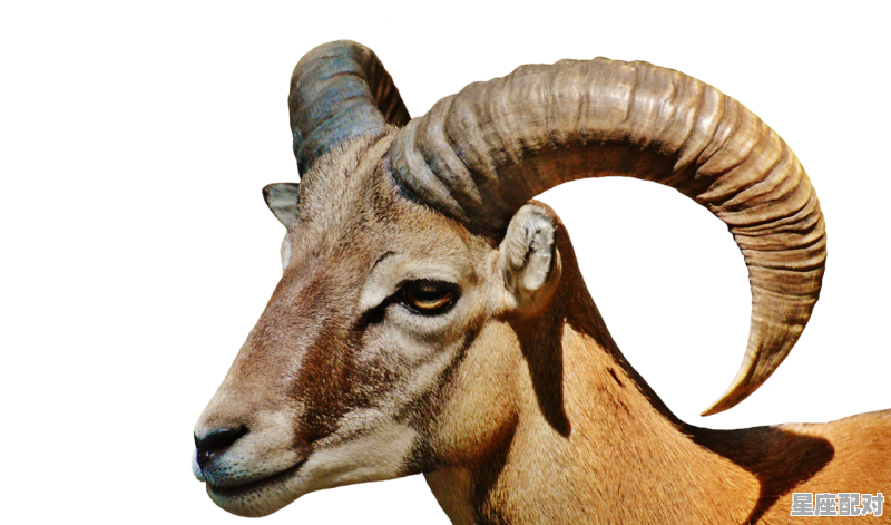 典型的白羊女性格特点,白羊座女人的性格 - 星座运势