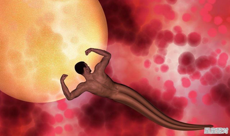 巨蟹和水瓶最佳配对第一名_水瓶男遇到了的巨蟹女他们会怎样 - 星座运势