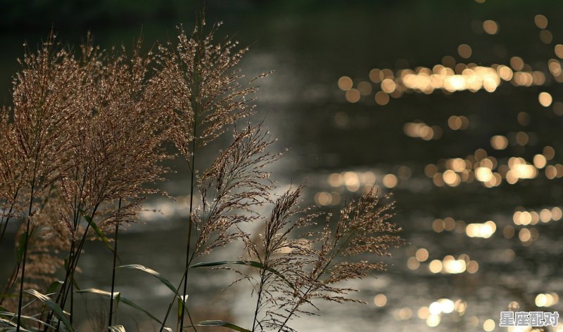 夜晚河边散步的美好句子_云南靠河的县 夜晚河边散步的美好句子_云南靠河的县 - 星座运势
