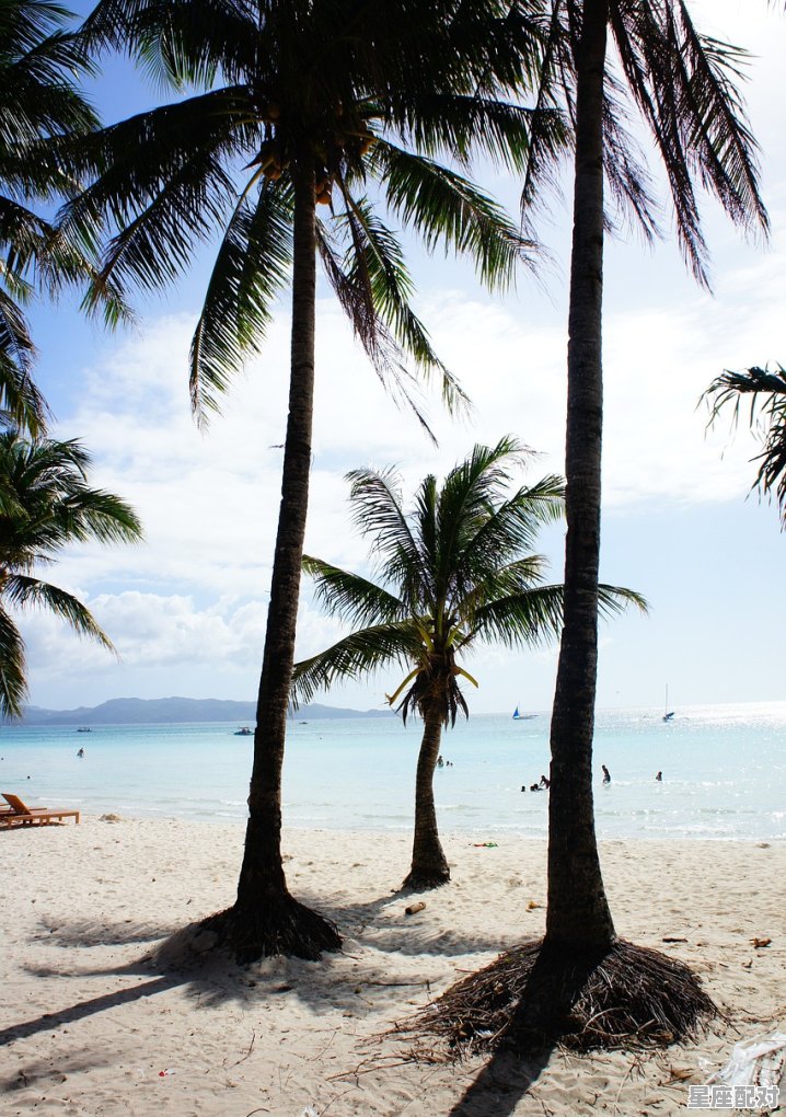 梦到吃花生,梦到吃花生 - 星座运势