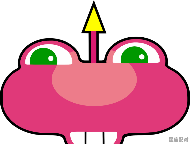 星星点灯领路人猜一动物,星星是什么生肖 - 星座运势
