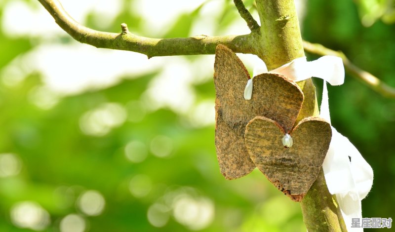 立春的由来和民间传说,用自己的话讲解立春的由来和习俗 立春的由来和民间传说,用自己的话讲解立春的由来和习俗 - 星座运势