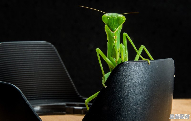 芒种吃什么，芒种节气的由来和习俗吃什么 - 星座运势