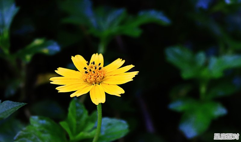 刮碗子什么意思_初八能剃头吗 - 星座运势