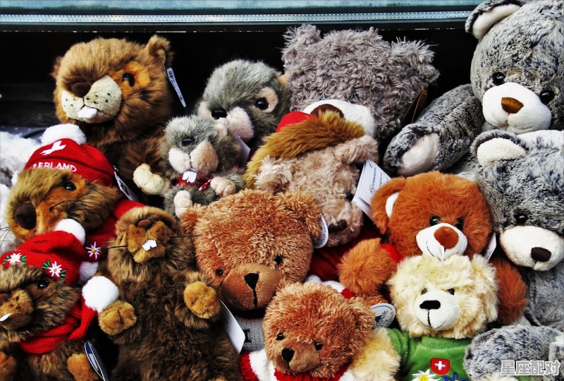 出将军的动物是什么,将军指什么生肖 出将军的动物是什么,将军指什么生肖 - 星座运势