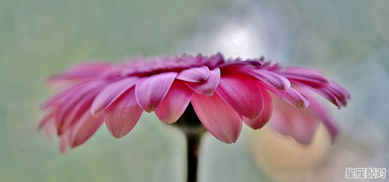 立春节气来历,二十四节气立春习俗由来 - 星座运势