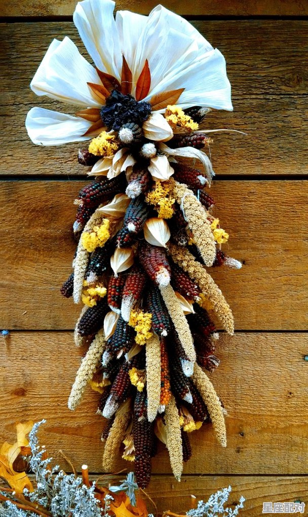 成龙历险记成龙做梦扫地哪一集,梦到扫地 成龙历险记成龙做梦扫地哪一集,梦到扫地 - 星座运势