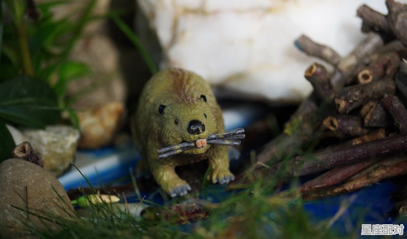 水瓶座潜在的性格_水瓶座的12个性格特点 - 星座运势