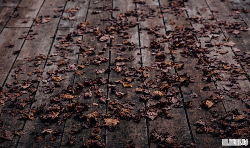 世界上第一位星座是什么座,十二星座第一座是什么座 - 星座运势