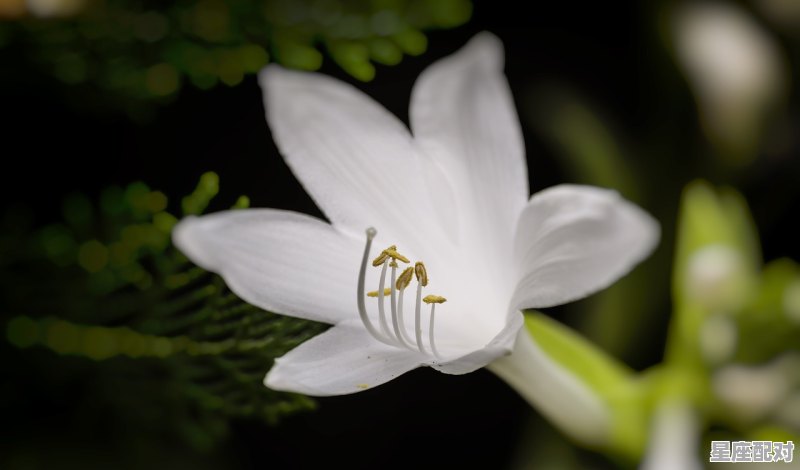 处女座女生的性格、特点，星座配对处女座女生的性格特点是什么 - 星座运势