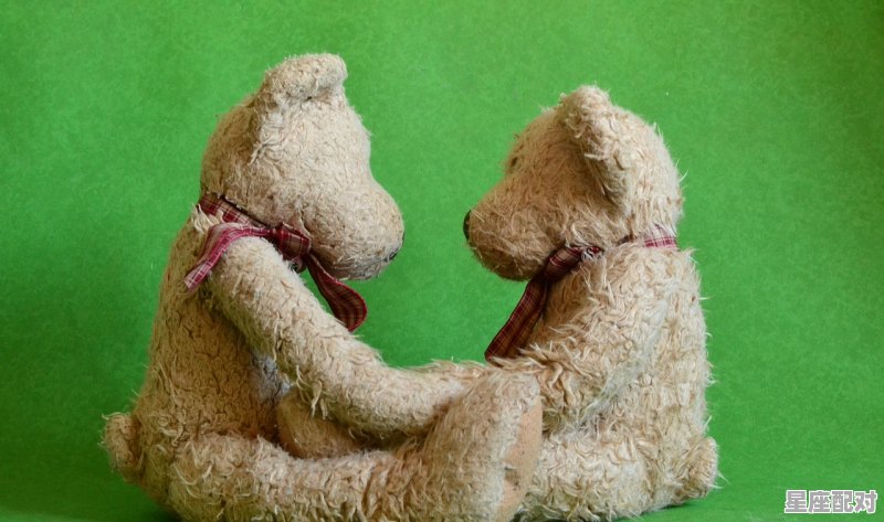 踩到癞蛤蟆有没有什么说法？急求,梦到癞蛤蟆 - 星座运势