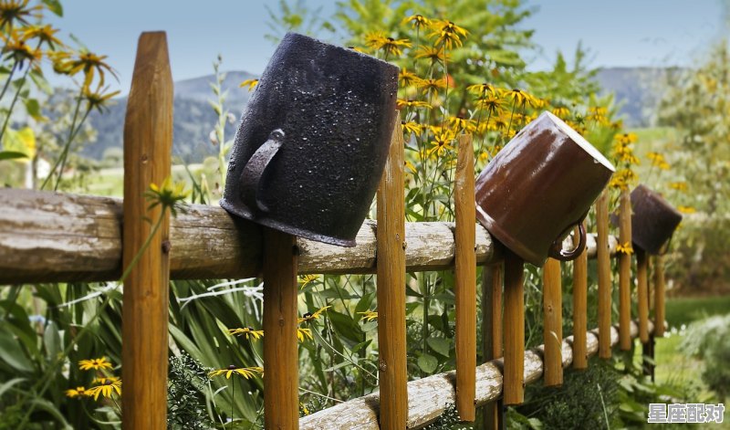 雁荡山的传说,农村习俗采脚子 雁荡山的传说,农村习俗采脚子 - 星座运势