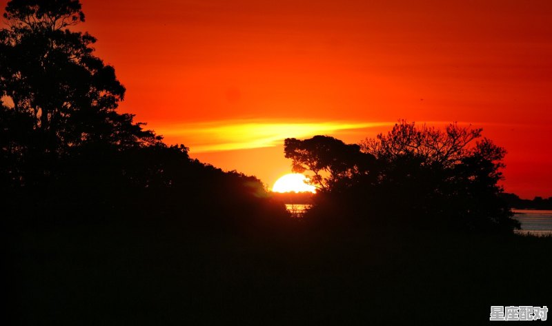 露水红颜结局深度解析,梦到跳河 - 星座运势