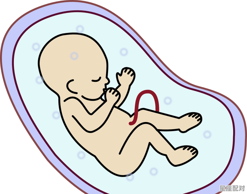 2021年11月18日出生的宝宝什么星座_中国人怎么确定星座 - 星座运势