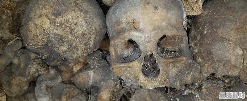 为什么客家人死后要“捡骨”重葬,捡骨头是什么习俗 为什么客家人死后要“捡骨”重葬,捡骨头是什么习俗 - 星座运势