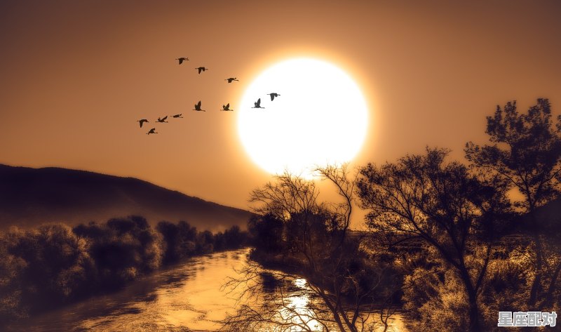 太阳星座有哪些，太阳是什么星座 - 星座运势