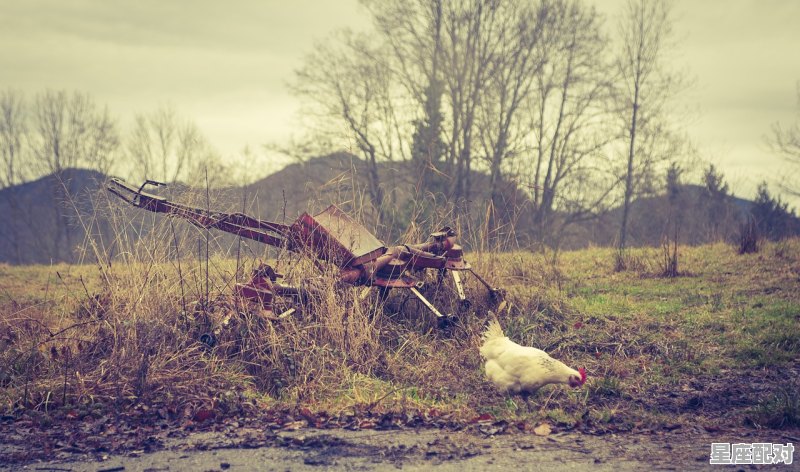 东北农村在死人的头七有什么风俗_五月，七月，八月，九月里分别有哪些节日，习俗是什么？大家帮帮忙吧 - 星座运势