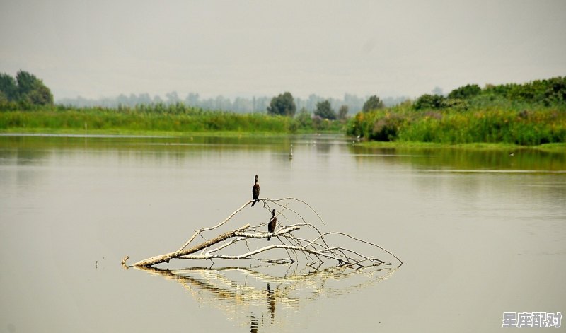 有大水什么意思,做梦梦到大水 有大水什么意思,做梦梦到大水 - 星座运势