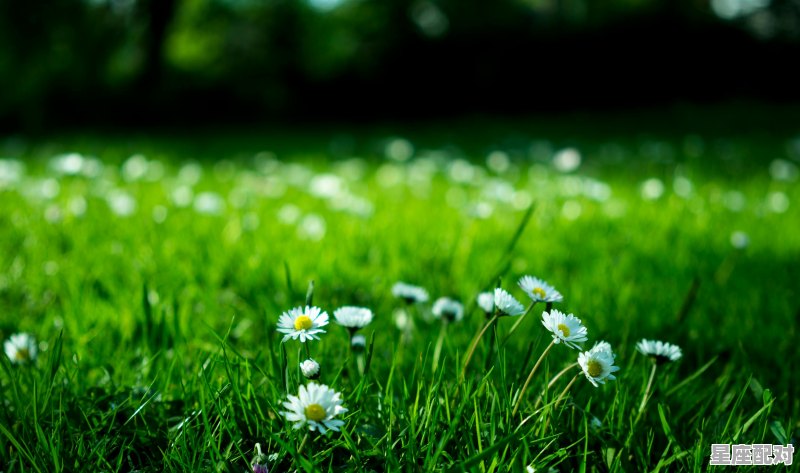 七月份有什么运气,今日小暑的运势 七月份有什么运气,今日小暑的运势 - 星座运势