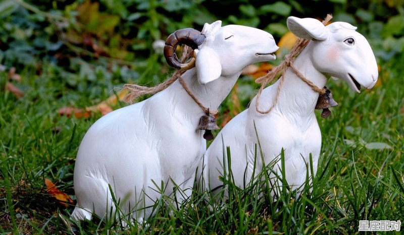 属马蛇人2020年运势运程情感,今日运势之蛇 - 星座运势