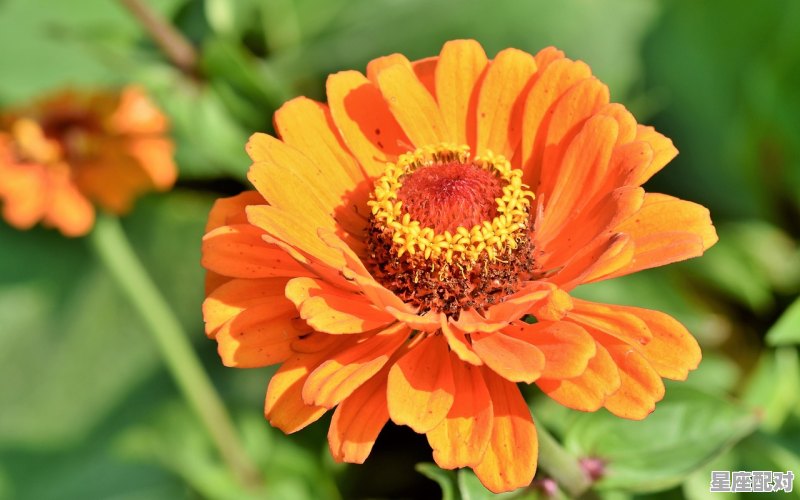 双子座女生的性格特点_双子座女生、的性格特点 - 星座运势