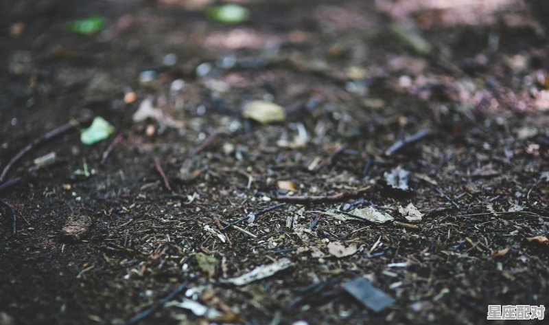 属蛇水瓶座B血型是什么性格_为什么说水瓶座是外星人 - 星座运势