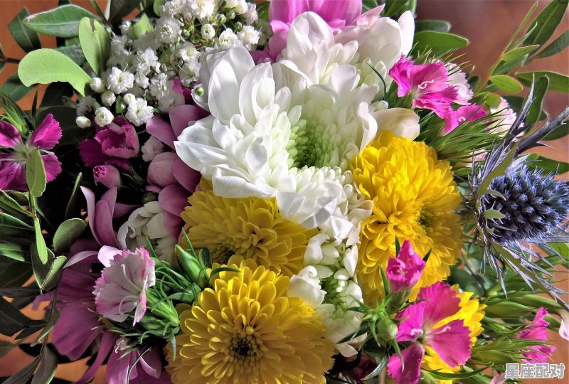 10月19是什么星座,10月19什么星座 - 星座运势