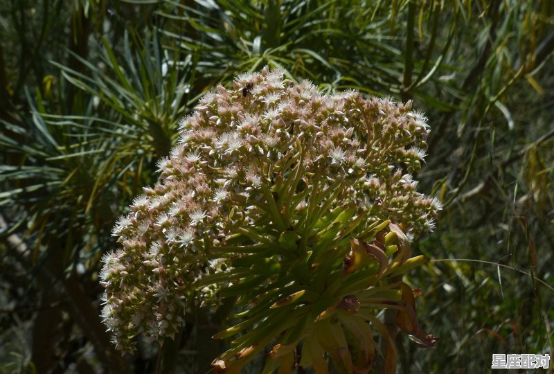梦到钱丢了,梦到钱丢了 梦到钱丢了,梦到钱丢了 - 星座运势